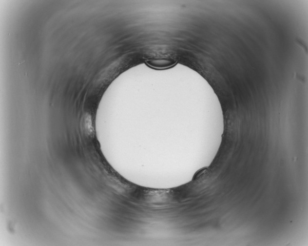 X0000101670089200807311506