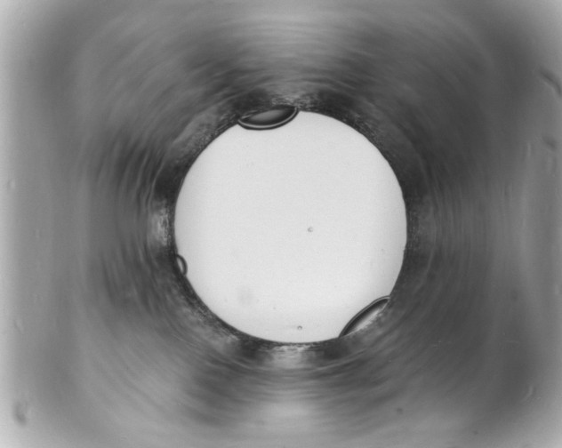 X0000101670090200807311506