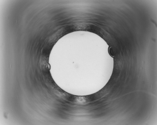 X0000101670091200807311506