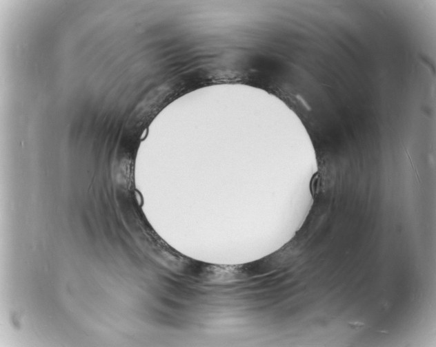 X0000101670093200807311506