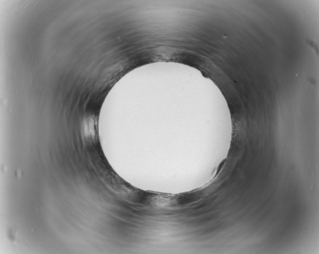 X0000101670094200807311506