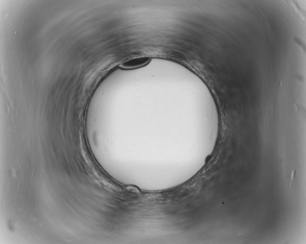 X0000101670097200807311506