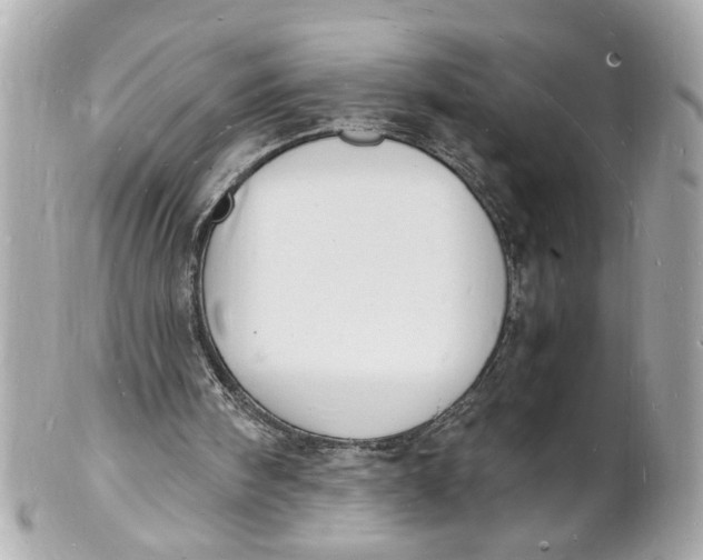 X0000101670098200807311506