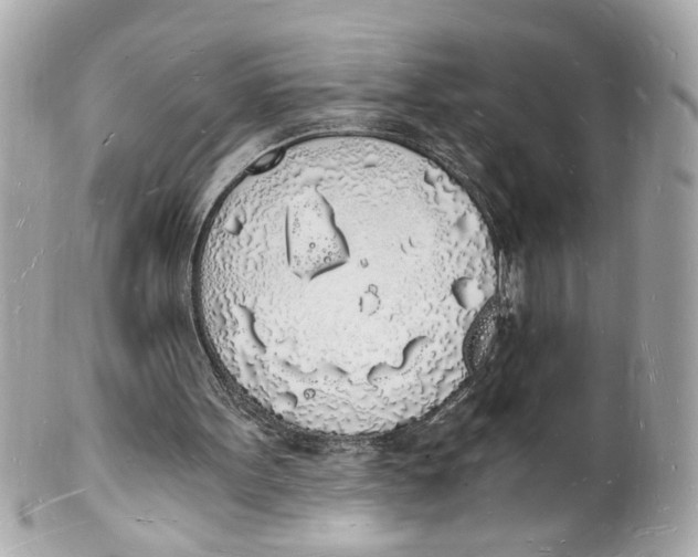 X0000101670099200807311506