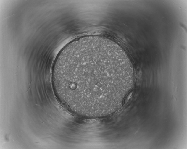 X0000101670100200807311506