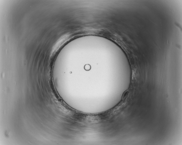 X0000101670101200807311506