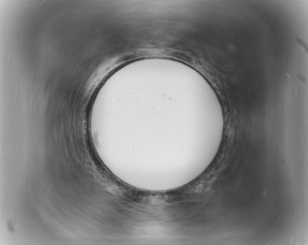 X0000101670103200807311506