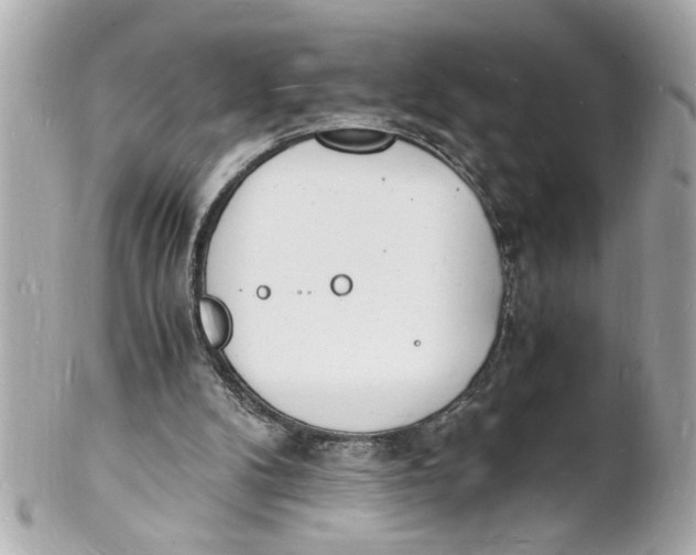 X0000101670104200807311506