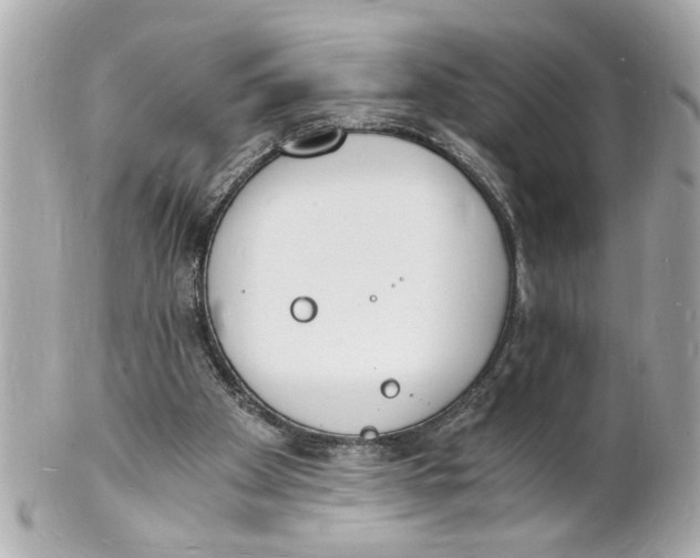 X0000101670105200807311506