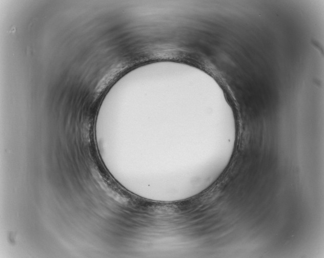 X0000101670106200807311506