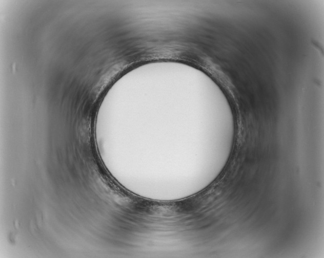 X0000101670107200807311506
