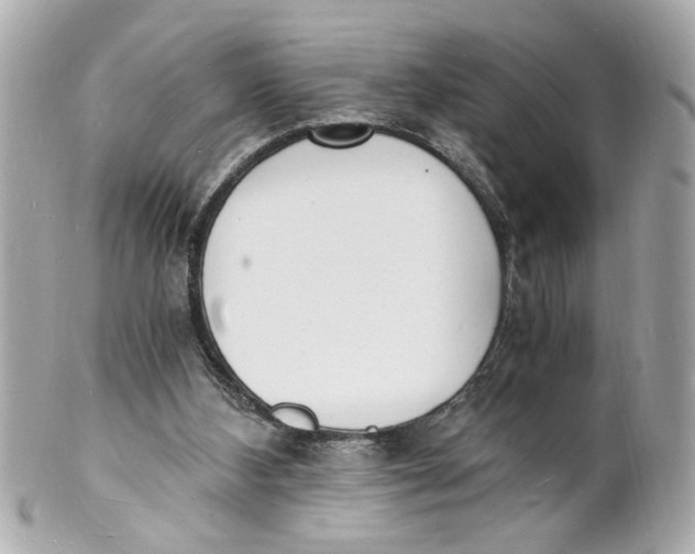 X0000101670108200807311506