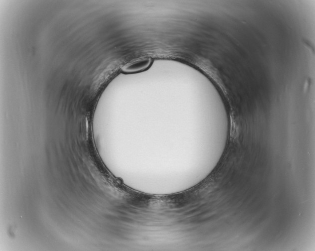 X0000101670109200807311506
