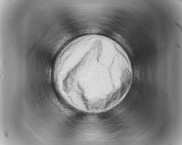 X0000101670110200807311506
