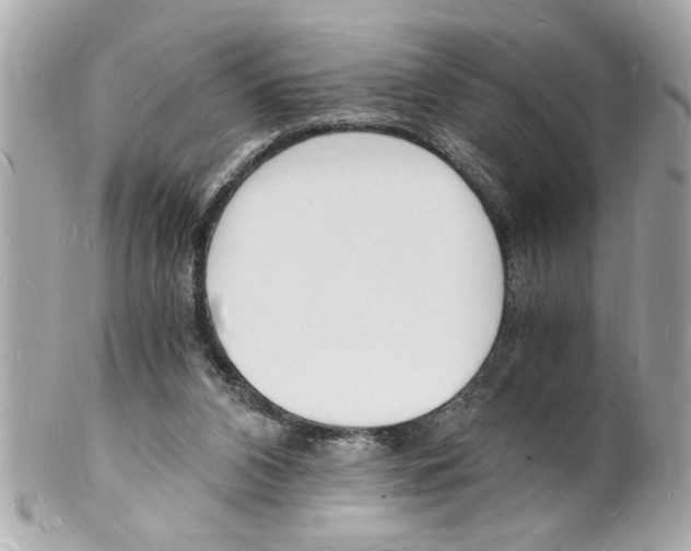 X0000101670112200807311506
