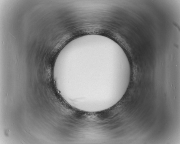 X0000101670113200807311506
