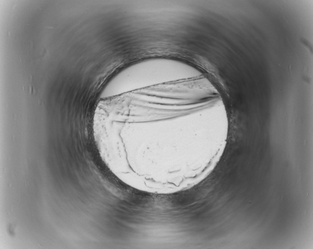 X0000101670114200807311506