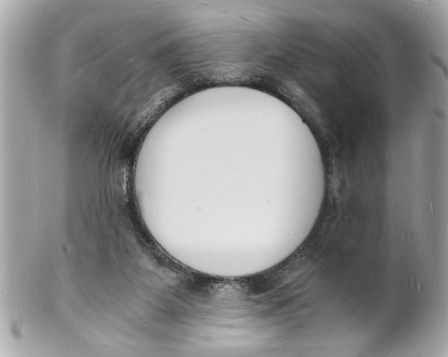 X0000101670115200807311506