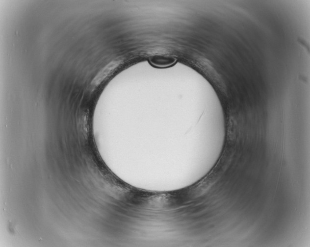 X0000101670116200807311506