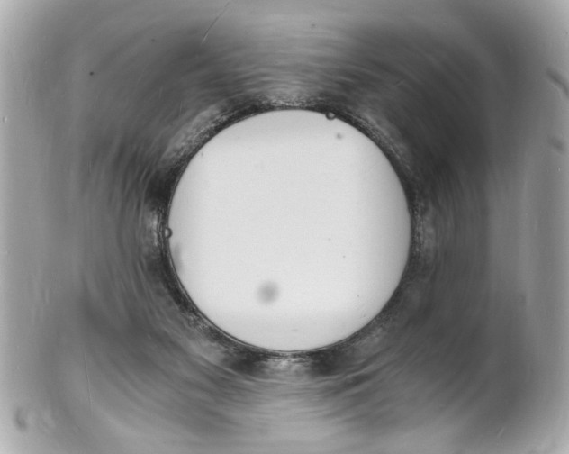 X0000101670117200807311505