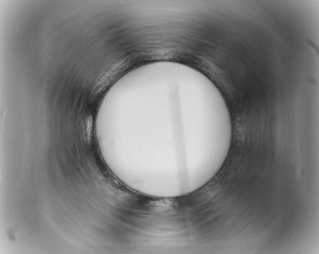 X0000101670118200807311505