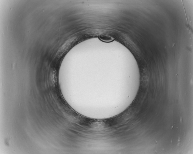 X0000101670119200807311505