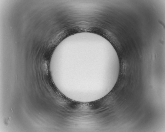 X0000101670121200807311505