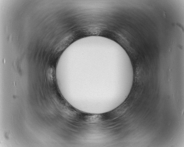 X0000101670122200807311505