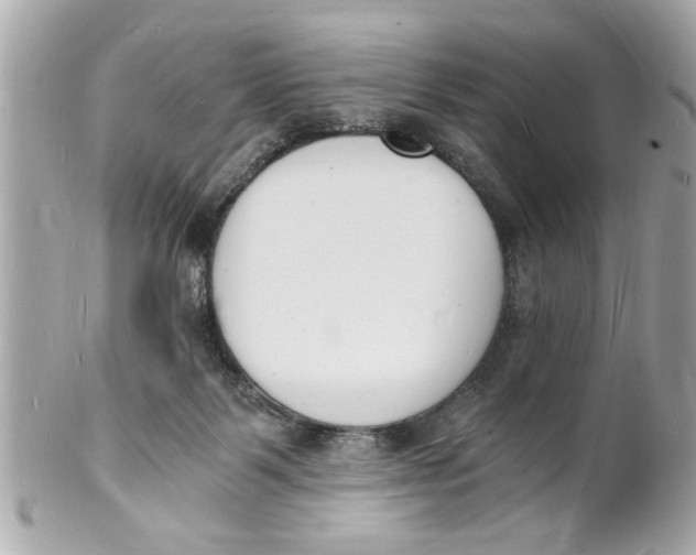 X0000101670123200807311505
