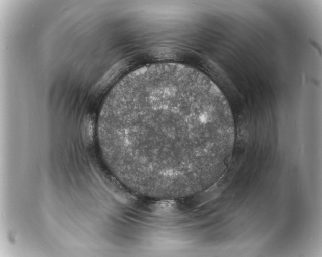 X0000101670124200807311505