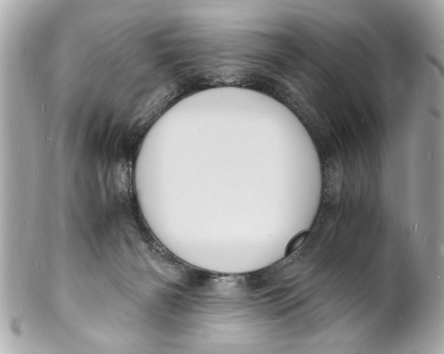 X0000101670126200807311505