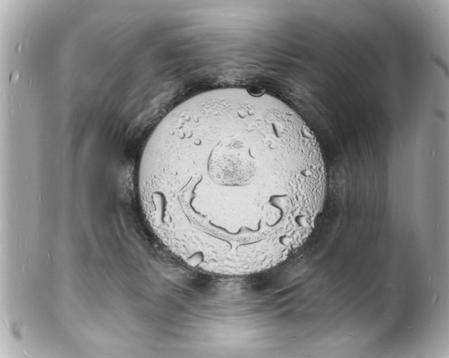 X0000101670127200807311505