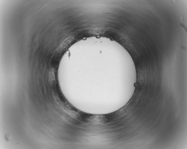 X0000101670128200807311505