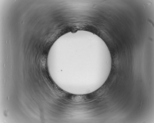 X0000101670129200807311505
