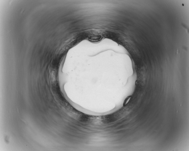 X0000101670131200807311505