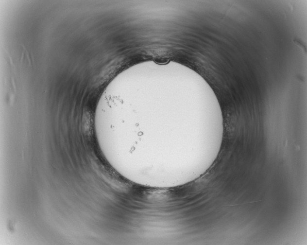 X0000101670132200807311505