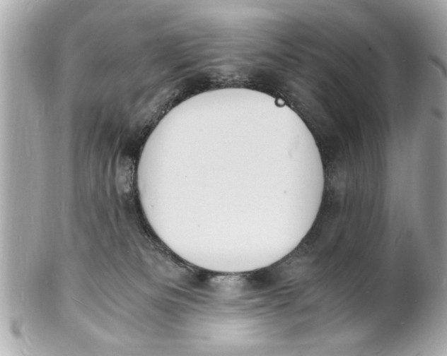X0000101670133200807311505