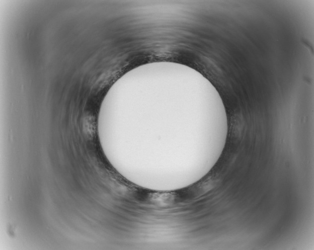 X0000101670135200807311505