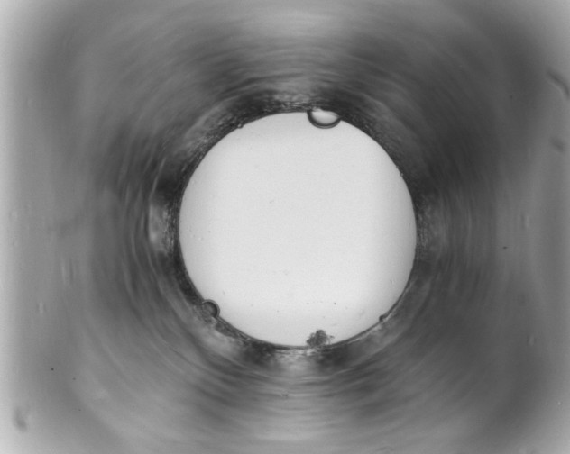 X0000101670136200807311505