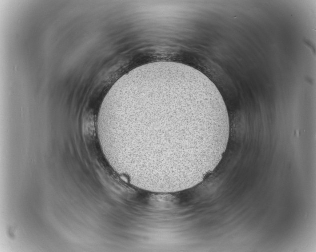X0000101670137200807311505