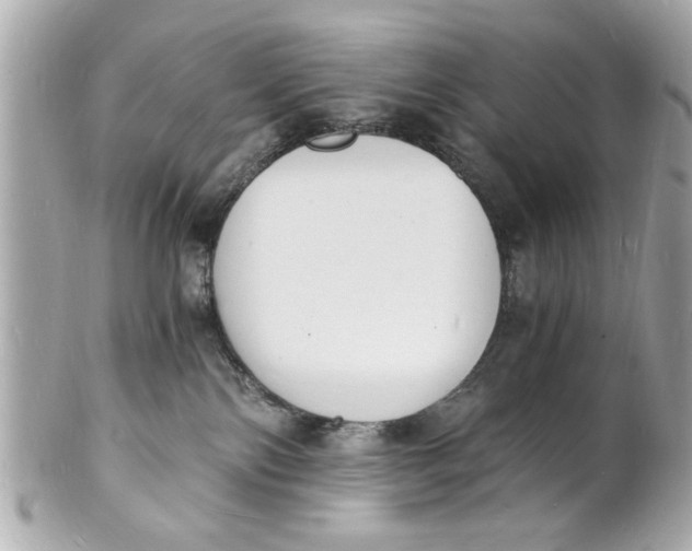 X0000101670138200807311505