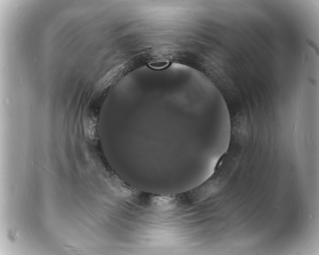 X0000101670139200807311505