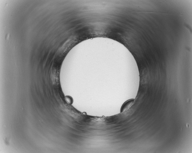 X0000101670140200807311505
