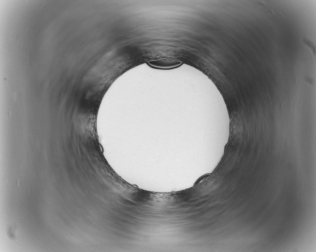 X0000101670141200807311505