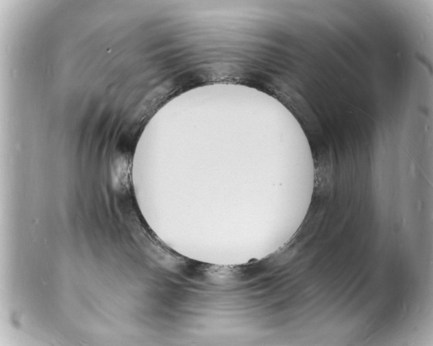 X0000101670142200807311505