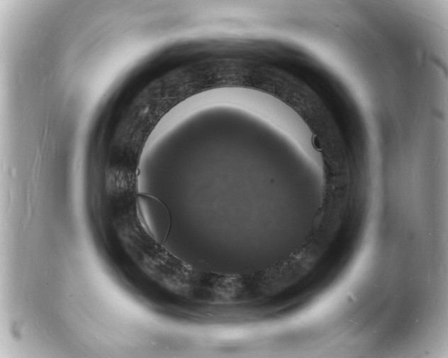 X0000101670143200807311505