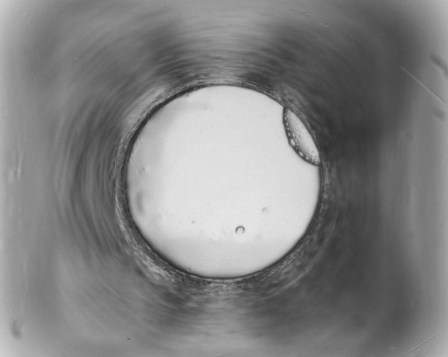 X0000101670145200807311504