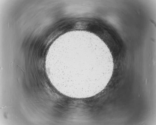 X0000101670146200807311504