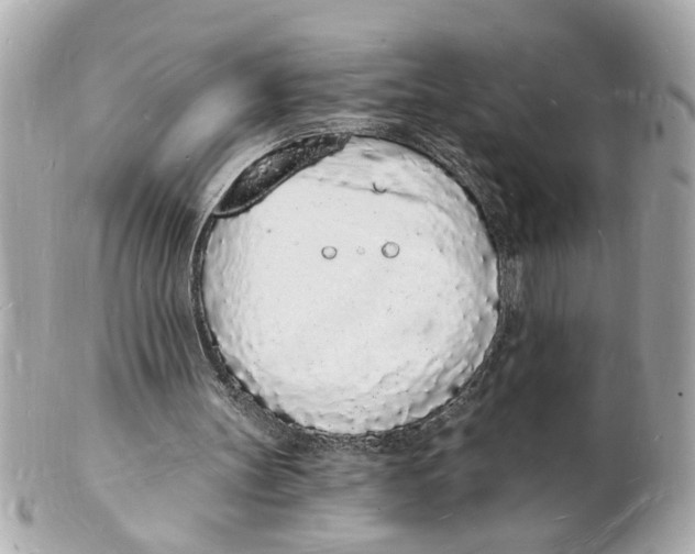 X0000101670147200807311504