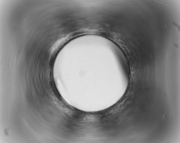 X0000101670149200807311505
